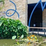 אקווריום ישראל: האטרקציה המשפחתית הרטובה והשווה לקיץ 2025