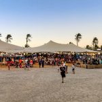 נוקדים SUMMER CAMP: מחנה קיץ חדש למשפחות