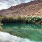 גם השבת יצאו המשפחות לטייל במרחבי ישראל