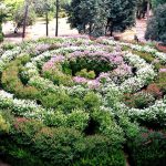 הגן הבוטני אילנות של קק”ל: פעילות לכל המשפחה