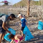 גם בכינרת חוףשיים מפלסטיק