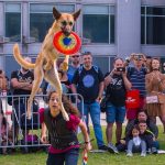 ואהבת את כלבך כמוך: יריד אימוץ בפארק הלאומי ר”ג