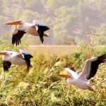 סוף שבוע משפחתי של טבע, תרבות ונופים