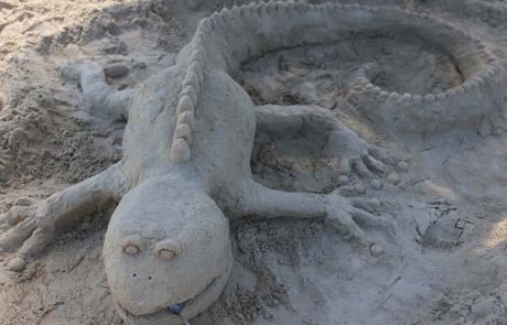 תחרות הפיסול ה-11, הגן הלאומי חוף פלמחים