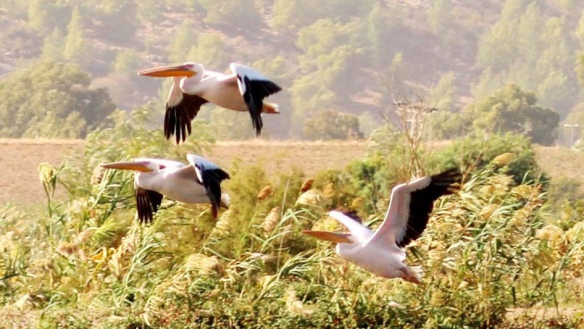 סוף שבוע משפחתי של טבע, תרבות ונופים