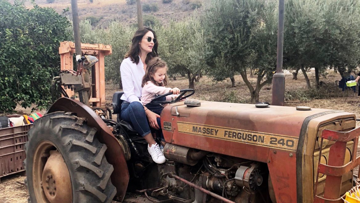 בית הבד של הגולן – מפעל אקולוגי לייצור שמן זית