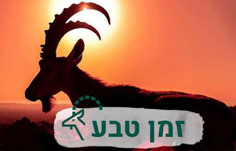 פעילוטבע: פעילויות כייפיות משפחתיות בבית, עם רשות הטבע והגנים