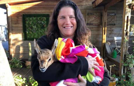 סיפור עצוב מהטבע עם סוף אופטימי