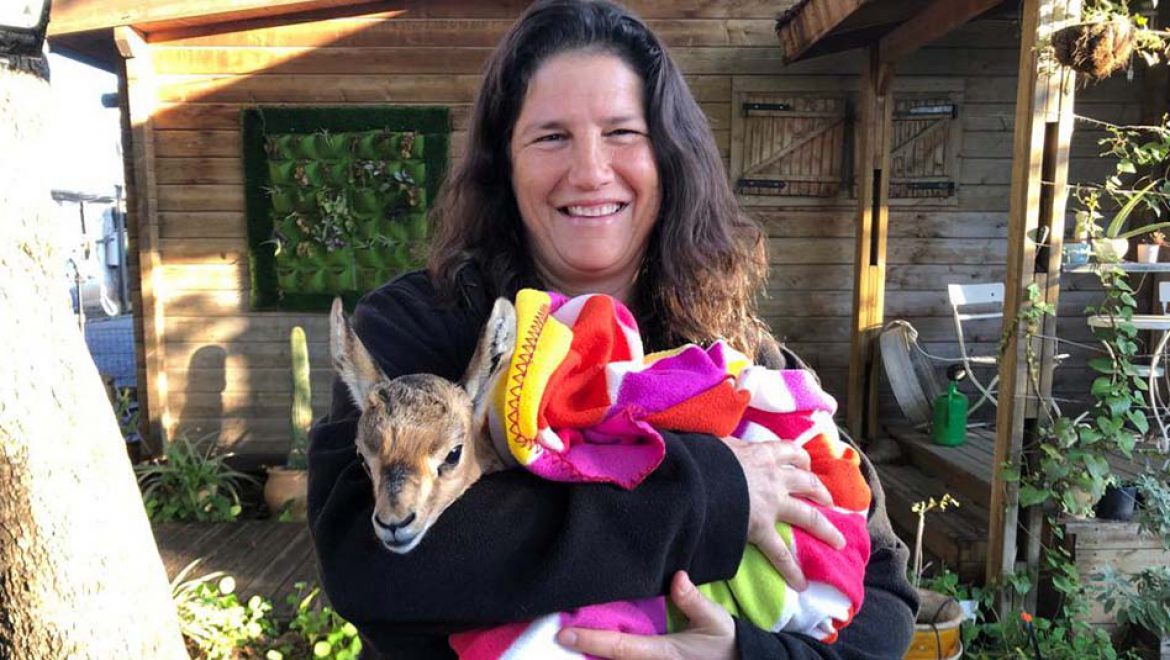 סיפור עצוב מהטבע עם סוף אופטימי