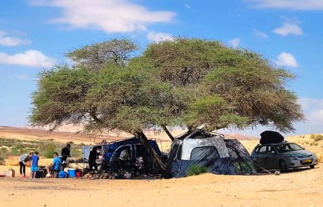 גם השבת טיילו המשפחות במרחבי הארץ