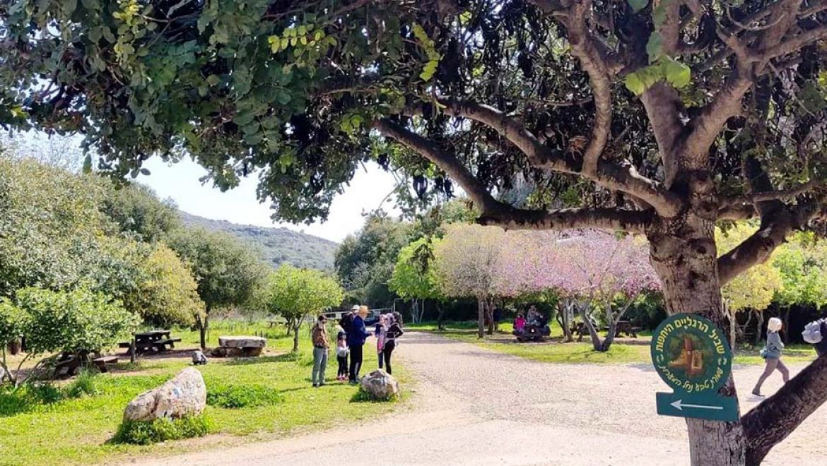 מאות אלפי משפחות טיילו ברחבי הארץ