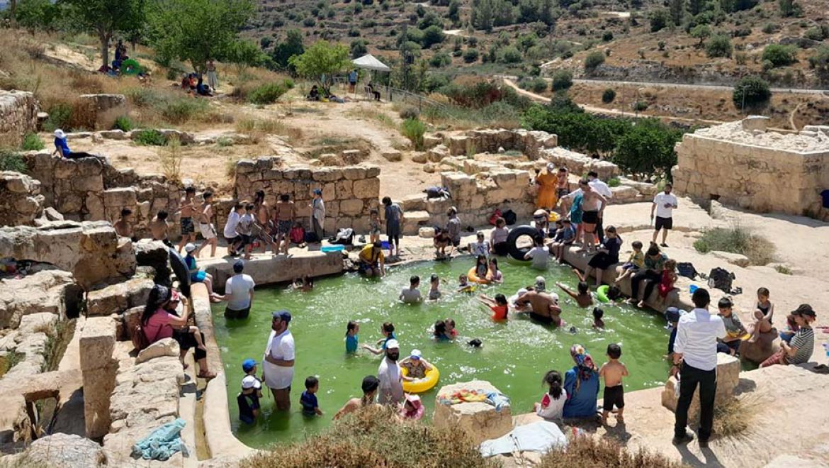 משפחות רבות טיילו בסופ”ש, מגן השלושה ועד ירקון תל אפק