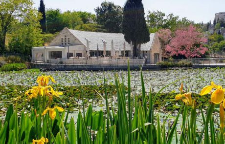 עולים לירושלים לביקור משפחתי בגן הבוטני