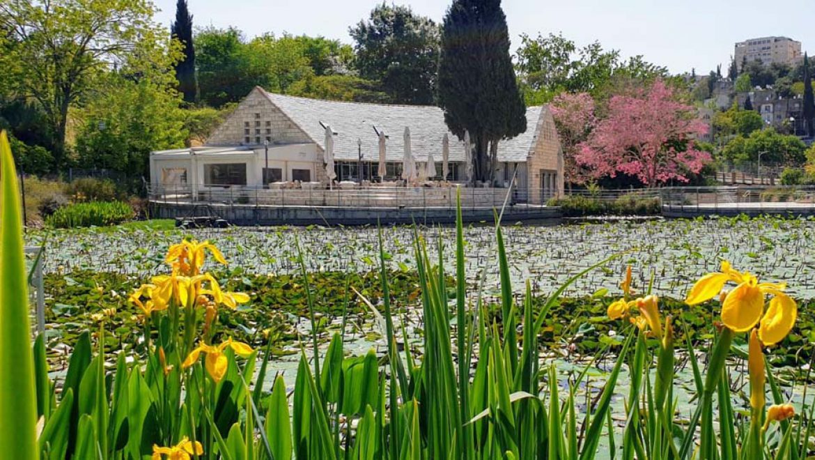 עולים לירושלים לביקור משפחתי בגן הבוטני