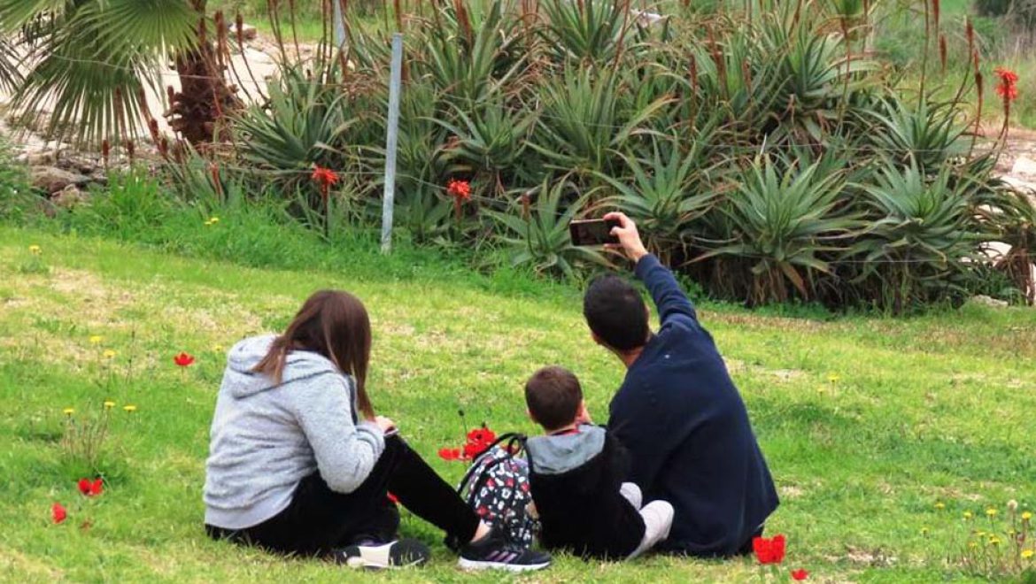 בחורף עוטים נופי הארץ מרבדים ירוקים רעננים ושלל פריחה צבעונית