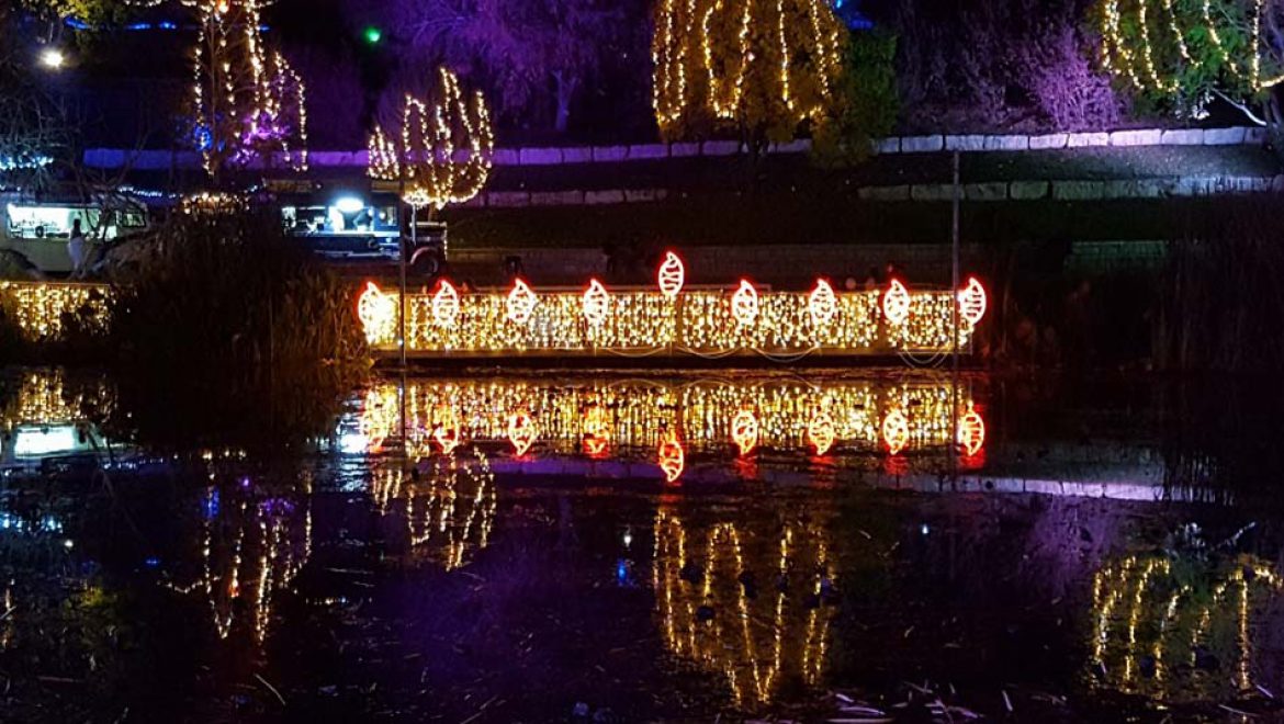 חגיגת אורות, צלילים ומטעמים, באירוע המרכזי של הגן הבוטני בירושלים
