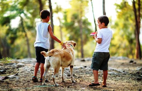 נובחים ביער: לכבוד יום הכלב הבינלאומי החל היום, שבת