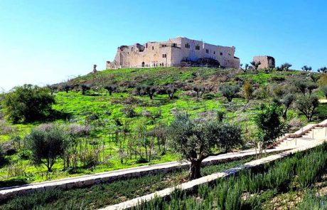 בכל מקום שתעצרו יש חוויה שמחכה לכם