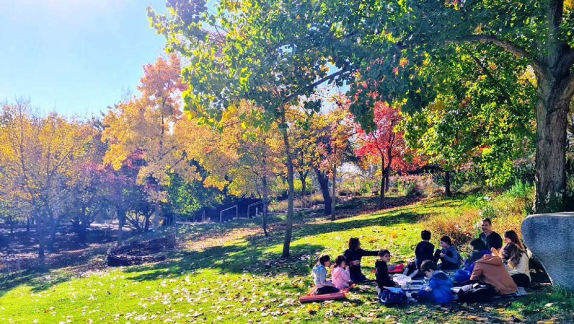 יום ירושלים בגן הבוטני: טבע עירוני פורח, סיורים מודרכים וכניסה בחינם