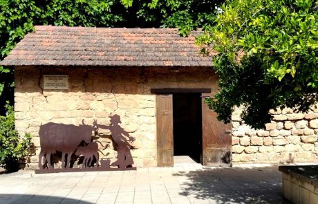 מוזיאון ראשון לציון: מסע מעורר השראה לראשית ההתיישבות בארץ