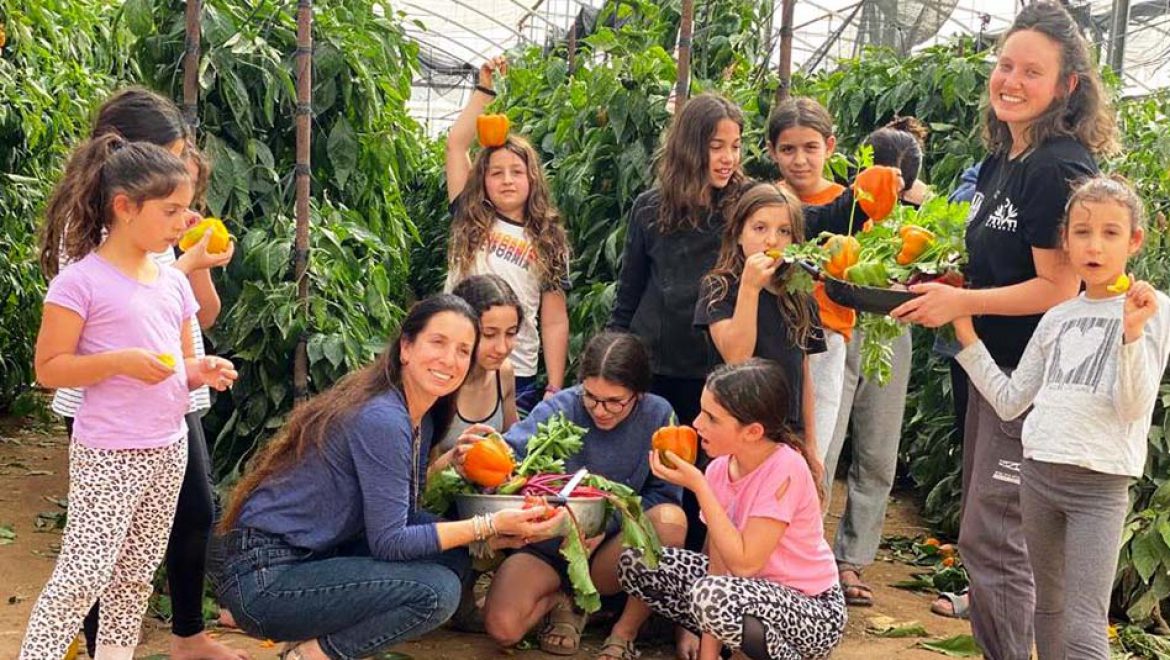 כל המשפחה קוטפת ומבשלת: ‘מהחממה לצלחת’ בערבה התיכונה