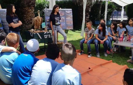 פסטיבל נחל סער: אירוע סביבתי חווייתי ומשפחתי, בכפר מסעדה בגולן