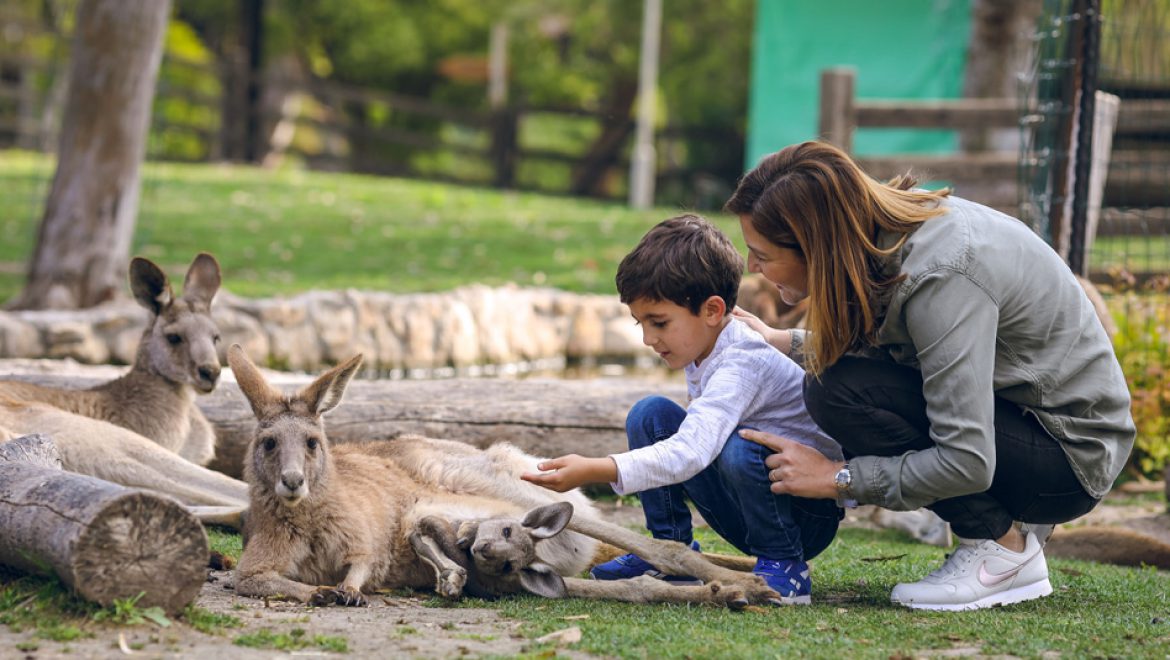 סיורי “באנו חושך לגרש בידנו אור ואש”, בגן גורו