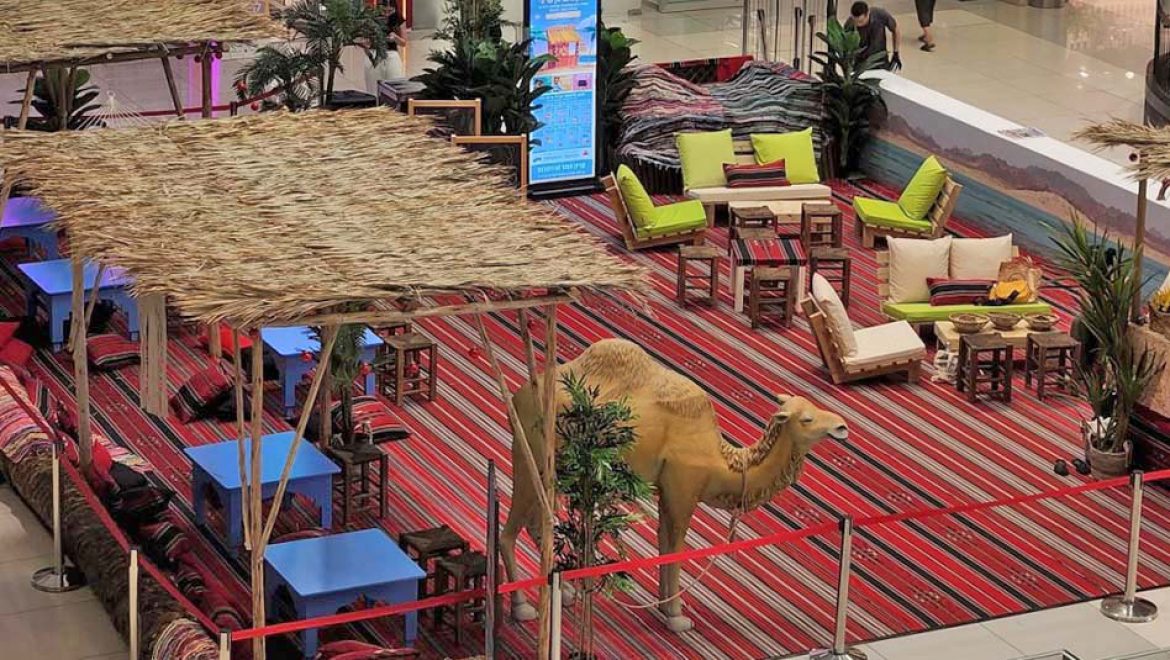 סִינַי ברחובות? חולות וחושות, גמל וקניון כייף למשפחות