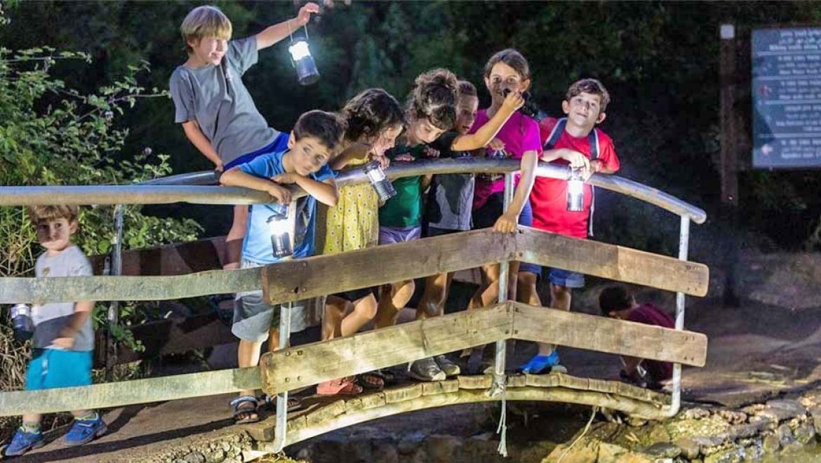 הגולן מציע למשפחות: פעילויות ליליות וסיורי עששיות