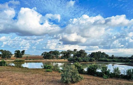 ממשיכים לטייל, כולל פעילות קצת אחרת לשעות הערב הנעימות