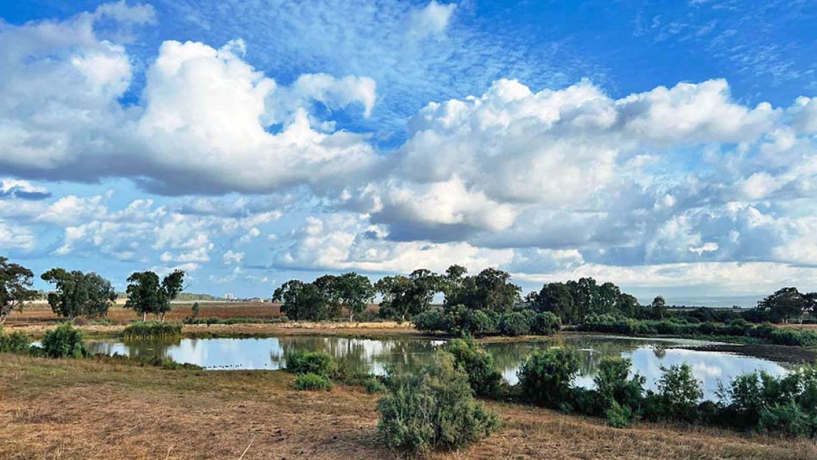 ממשיכים לטייל, כולל פעילות קצת אחרת לשעות הערב הנעימות