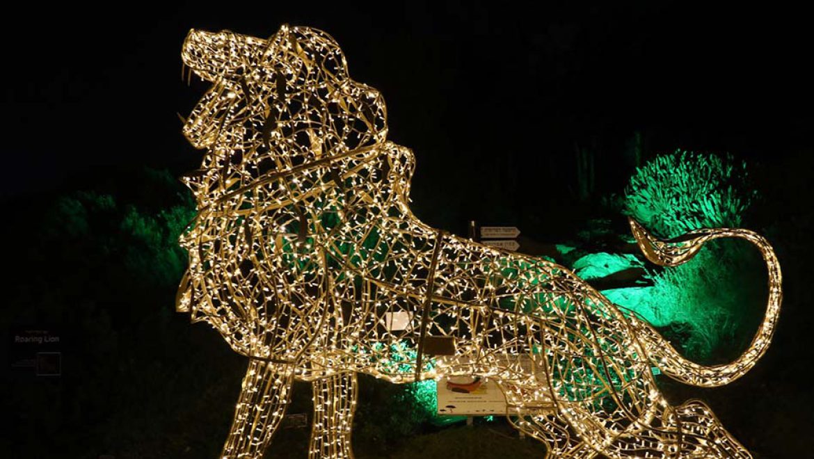 חנוכה משפחתי בגן הבוטני בירושלים עם Winter Dreams