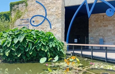 אקווריום ישראל: האטרקציה המשפחתית הרטובה והשווה לקיץ 2025