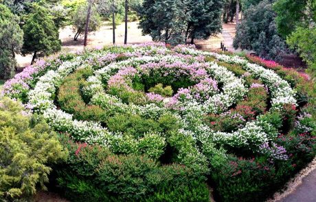 הגן הבוטני אילנות של קק”ל: פעילות לכל המשפחה