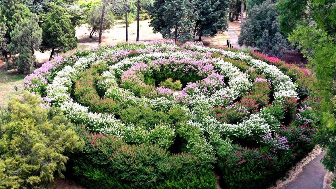 הגן הבוטני אילנות של קק”ל: פעילות לכל המשפחה