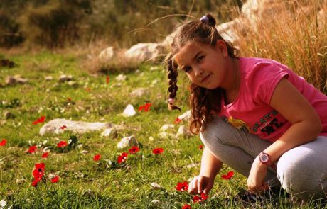 אתגר ניווט לכל המשפחה בעקבות מוקדי פריחה מרהיבים