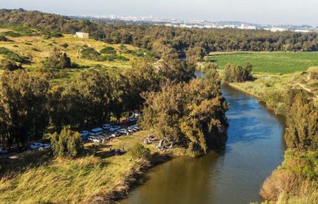 כוכבים ביער: פסטיבל של פעם ב- 120 שנה, בפארקים וביערות קק”ל