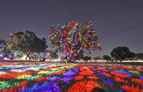 “אביב של צבעים”: מיצג צבעוני ומרהיב בפארק הלאומי ר”ג