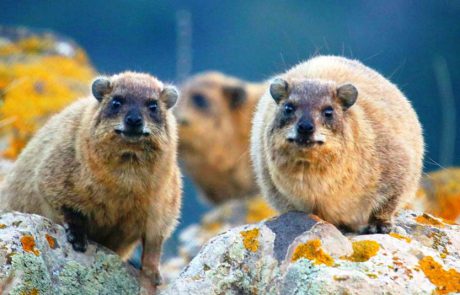 נמנעים לטייל במקומות מסוכנים בשל מזג האוויר הסוער