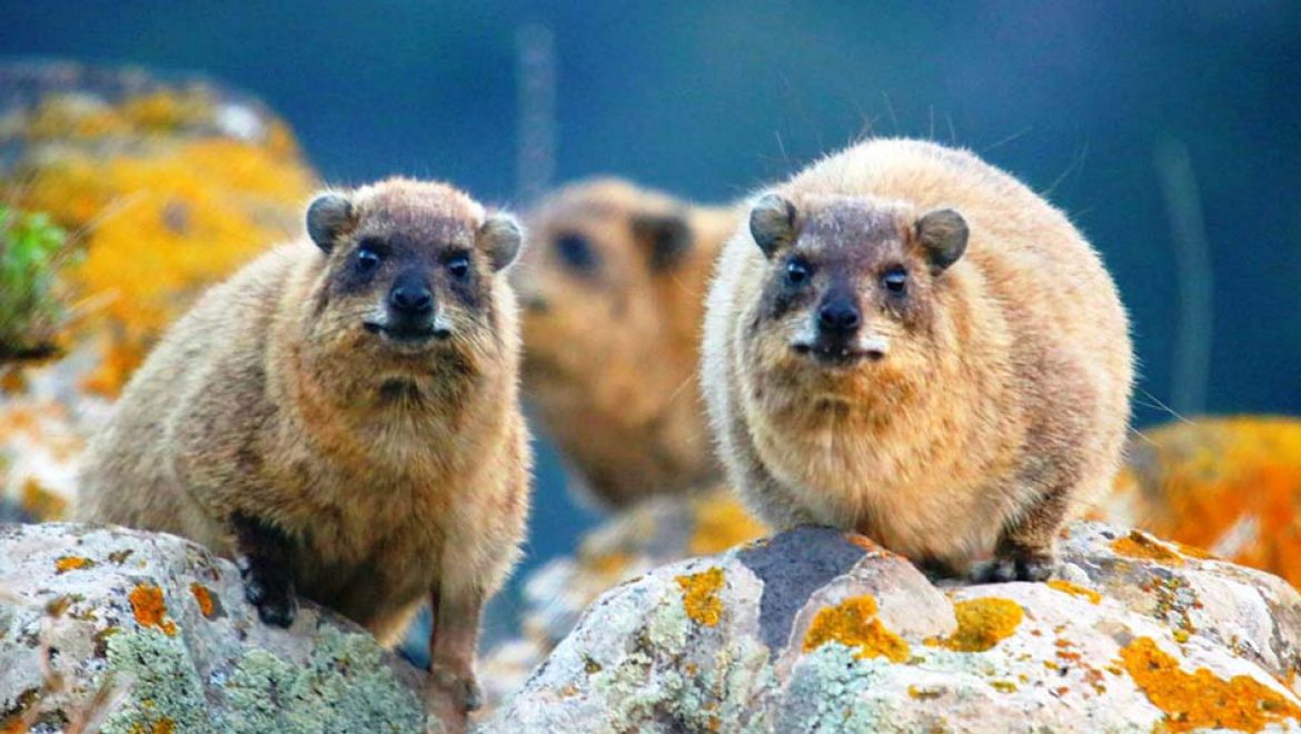 נמנעים לטייל במקומות מסוכנים בשל מזג האוויר הסוער