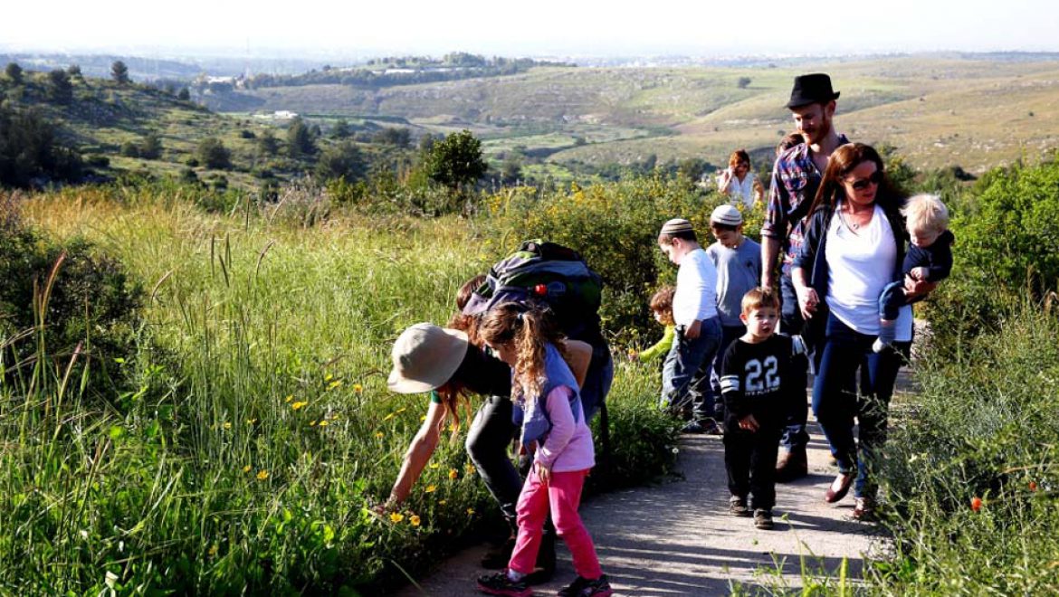 בפארק נאות קדומים מגלים את סודות הטבע