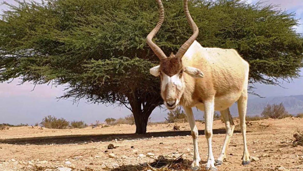 ממשיכים לטייל בחיק הטבע עם כל המשפחה