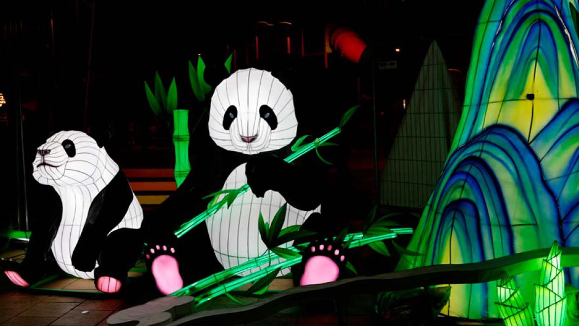 פסטיבל האורות בנמל תל אביב: הצלחה מסחררת והארכת פעילותו