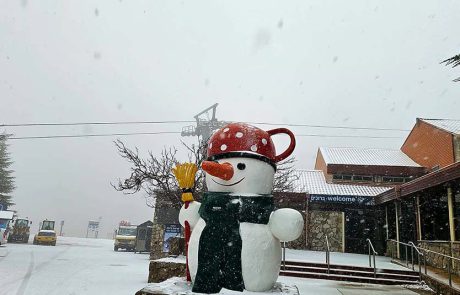 לבן בוהק וקררררר, באתר החרמון