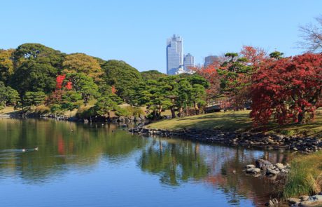 טוקיו – לא למבוגרים בלבד