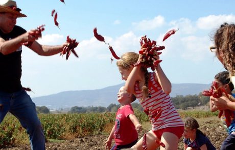 פסטיבל הפפריקה ה-11 בחוות דרך התבלינים