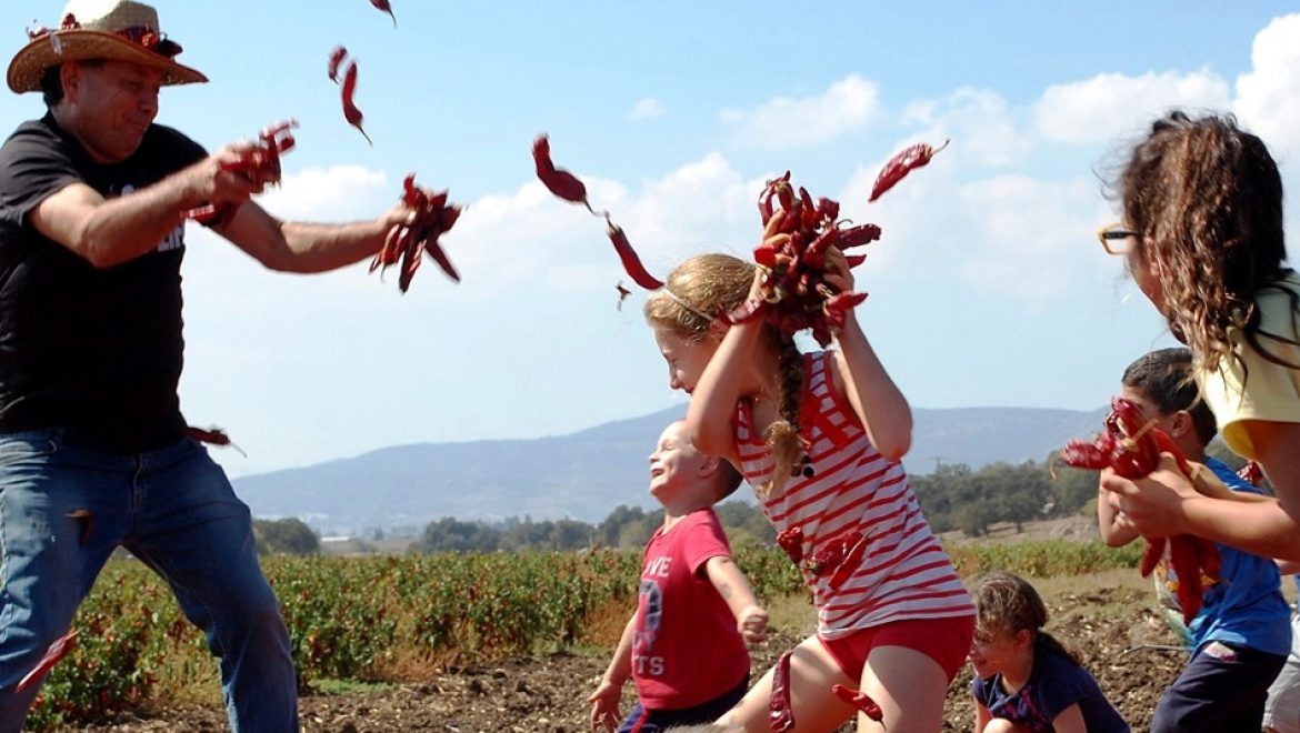 פסטיבל הפפריקה ה-11 בחוות דרך התבלינים