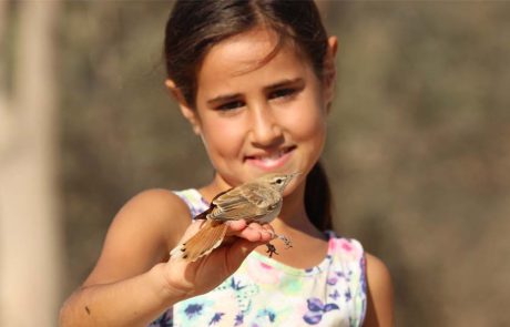 בעקבות הציפורים הנודדות באביב – חוויה לכל המשפחה   