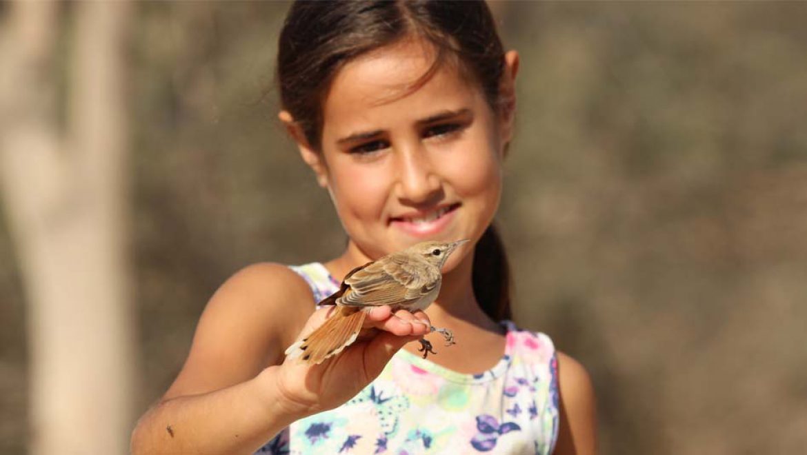 בעקבות הציפורים הנודדות באביב – חוויה לכל המשפחה   
