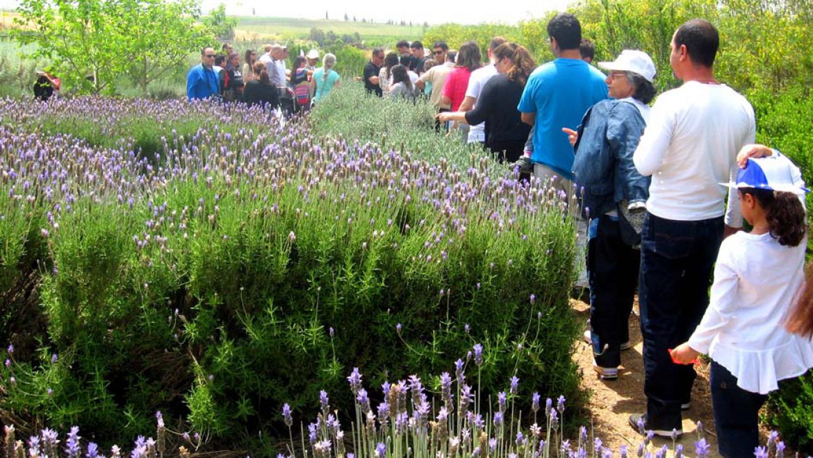 הולכים לאיבוד בלב הטבע ב”מבוך מרים”